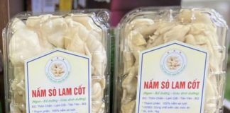 Sản phẩm OCOP Nấm sò Lam Cốt mở hướng phát triển mới cho địa phương