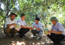 Mô hình mới là động lực giúp nông dân một huyện ở Hà Giang nâng cao thu nhập, giảm nghèo bền vững