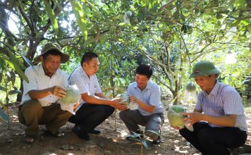 Mô hình mới là động lực giúp nông dân một huyện ở Hà Giang nâng cao thu nhập, giảm nghèo bền vững