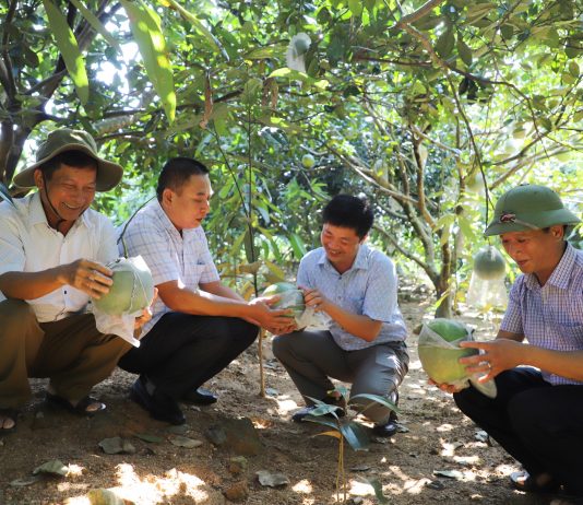 Mô hình mới là động lực giúp nông dân một huyện ở Hà Giang nâng cao thu nhập, giảm nghèo bền vững