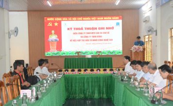 Cao su Chư Sê hợp tác với Vitad phát triển dự án trồng dứa công nghệ cao