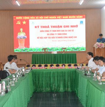 Cao su Chư Sê hợp tác với Vitad phát triển dự án trồng dứa công nghệ cao