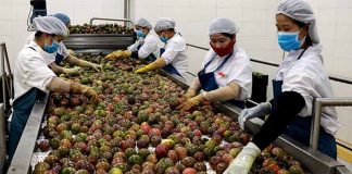 Siết kiểm soát chất lượng để giữ thị trường Trung Quốc