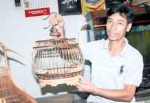 Làm giàu khác người: Kiếm bộn tiền nhờ “xây tổ ấm” cho chim cu gáy