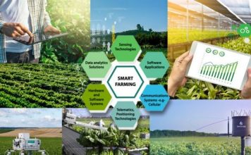 Nông sản Việt bứt phá nhờ… chuyển đổi số