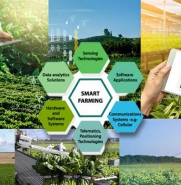 Nông sản Việt bứt phá nhờ… chuyển đổi số