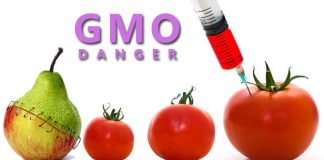 Quản lý ghi nhãn thực phẩm có chứa thành phần biến đổi gen