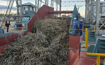 Nhà máy Đường An Khê vào vụ ép mới