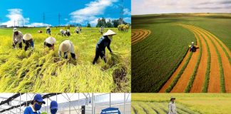 Doanh nghiệp kiến nghị cơ chế mở đường chuỗi giá trị nông nghiệp xanh