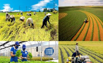 Doanh nghiệp kiến nghị cơ chế mở đường chuỗi giá trị nông nghiệp xanh