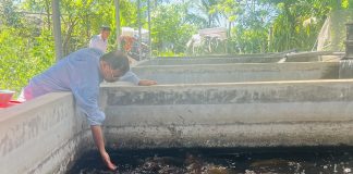 “Rời tay súng, chắc tay nghề” làm giàu trên miền quê Hà Tĩnh