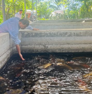 “Rời tay súng, chắc tay nghề” làm giàu trên miền quê Hà Tĩnh