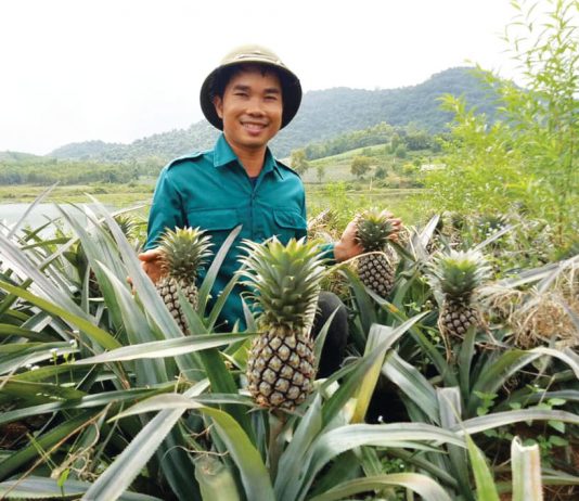 Làn sóng doanh nghiệp mới trong nông nghiệp đang dâng cao