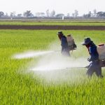 Giảm lệ thuộc hóa chất, bước chuyển tất yếu của nền nông nghiệp hiện đại