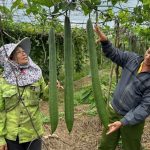 Kinh tế tuần hoàn – xu hướng tất yếu cho nền nông nghiệp hiện đại