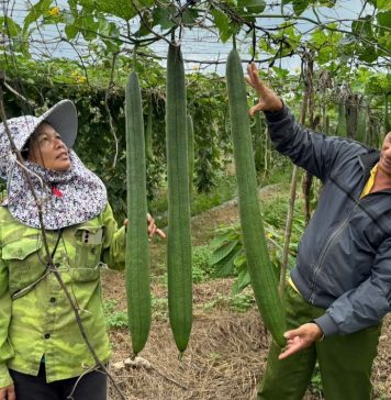 Kinh tế tuần hoàn – xu hướng tất yếu cho nền nông nghiệp hiện đại