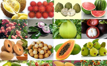 Hướng tới nông nghiệp hiện đại, bền vững