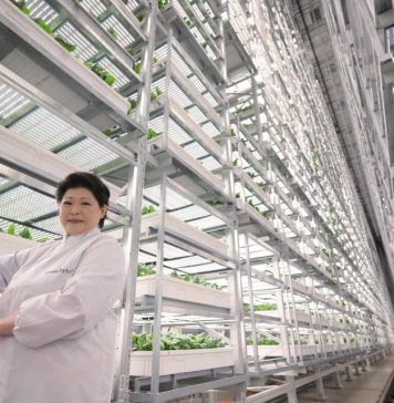 Trang trại thẳng đứng trong nhà cao nhất thế giới trị giá 80 triệu USD chính thức vận hành