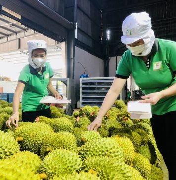 Ngoại giao kinh tế mở thị trường nông sản