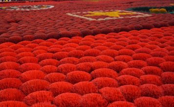 Giữ lửa nghề trăm năm giữa nhịp sống hiện đại