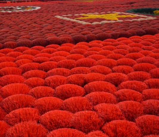 Giữ lửa nghề trăm năm giữa nhịp sống hiện đại