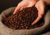 Giá cà phê tăng mạnh