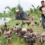 Thanh niên Hải Phòng vươn lên làm giàu