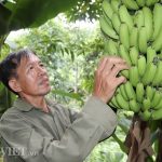 Làm giàu khác người: Một nghề thì sống, đống nghề…thành tỷ phú