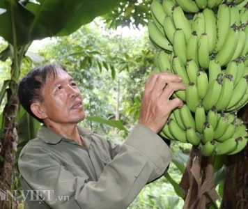 Làm giàu khác người: Một nghề thì sống, đống nghề…thành tỷ phú