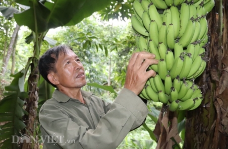 Làm giàu khác người: Một nghề thì sống, đống nghề…thành tỷ phú