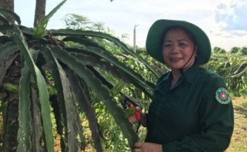 Làm giàu ở nông thôn: Biến đất bỏ hoang thành gia trang tiền tỷ