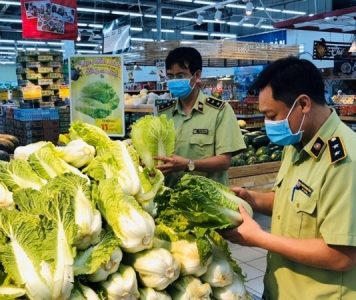 TP HCM: Tạo không gian xanh từ hỗ trợ doanh nghiệp khởi nghiệp nông nghiệp xanh