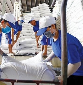 Tái cấu trúc để gạo Việt cất cánh trong năm 2026