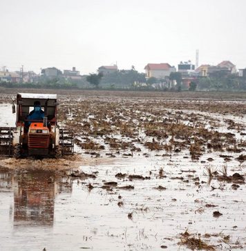 Thêm hơn 6% diện tích có nước để gieo cấy vụ Đông Xuân