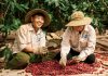 Xuất khẩu cà phê lập kỷ lục