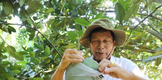 Mô hình mới là động lực giúp nông dân một huyện ở Hà Giang nâng cao thu nhập, giảm nghèo bền vững