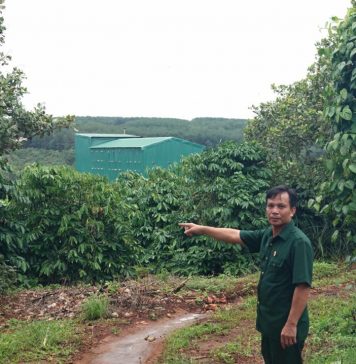 Từ cựu chiến binh đến “tỉ phú” nông nghiệp trên đất Ia Krêl