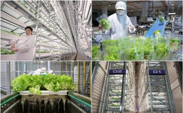Trang trại thẳng đứng trong nhà cao nhất thế giới trị giá 80 triệu USD chính thức vận hành