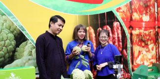 Công nghệ số ‘cõng sinh kế’ tới vùng cao