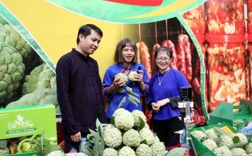 Công nghệ số ‘cõng sinh kế’ tới vùng cao