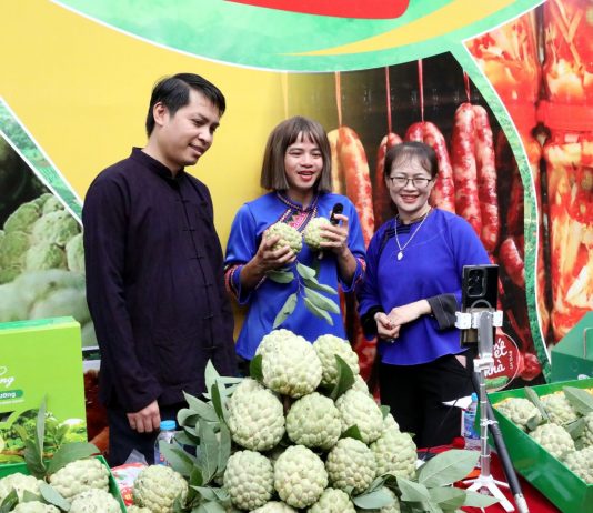 Công nghệ số ‘cõng sinh kế’ tới vùng cao