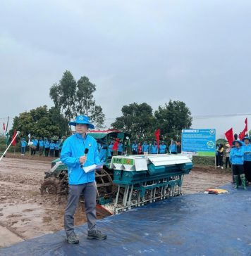 Lúa phát thải thấp: Đồng bằng sông Hồng vào guồng chuyển đổi xanh