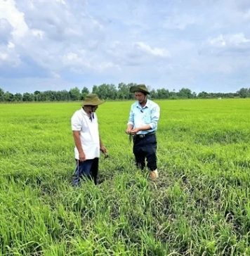 5 giải pháp giúp nông dân nâng cao hiệu quả sản xuất trong bối cảnh chi phí gia tăng