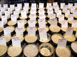 Cước vận tải “ghìm chân” xuất khẩu gạo châu Á