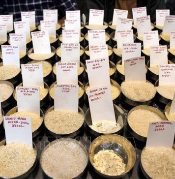 Cước vận tải “ghìm chân” xuất khẩu gạo châu Á