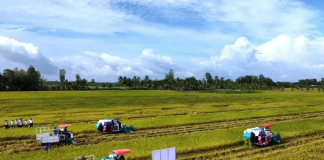 Doanh nghiệp, hiệp hội chung tay giữ nhịp sản xuất nông nghiệp