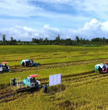 Doanh nghiệp, hiệp hội chung tay giữ nhịp sản xuất nông nghiệp