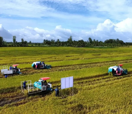 Doanh nghiệp, hiệp hội chung tay giữ nhịp sản xuất nông nghiệp