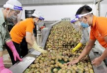 Doanh nghiệp xuất khẩu thực phẩm cần lưu ý quy định đăng ký mới của Trung Quốc