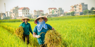 Giảm lệ thuộc hóa chất, bước chuyển tất yếu của nền nông nghiệp hiện đại